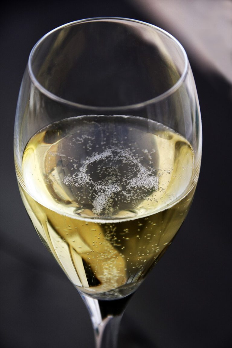 Av bgvjpe - originally posted to Flickr as champagne, CC BY 2.0, https://commons.wikimedia.org/w/index.php?curid=5236631